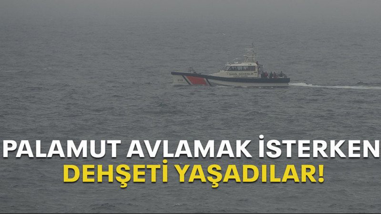 Palamut avlamak isterken dehşeti yaşadılar!